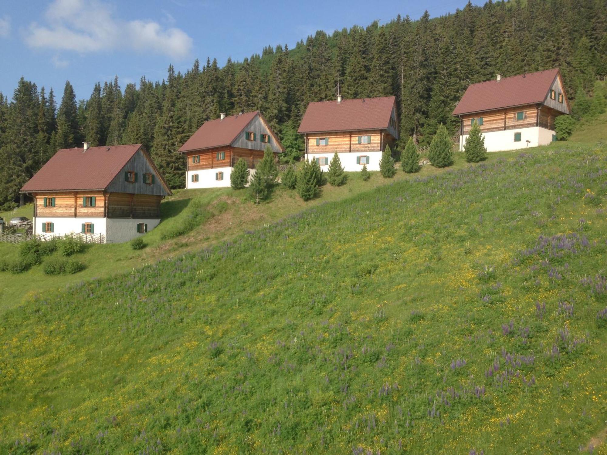 Moselebaueralm Villa Klippitztorl Exterior photo